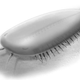 Illustration for article titled Fossilized footprints reveal the deadly caterpillar that ruled the oceans 500 million years ago